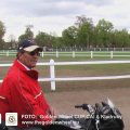 Golden Wheel CUP Management CAI-A Kladruby Petr Vozab two times Winner of the world important Horses SPORT EVENT PARDOPICE Horses Racing.
World Champin Ship Starter 2008.